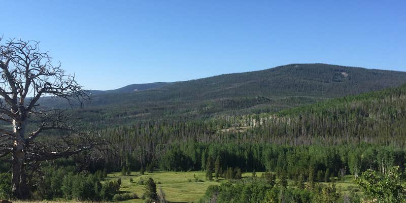 Camper submitted image from Medicine Bow