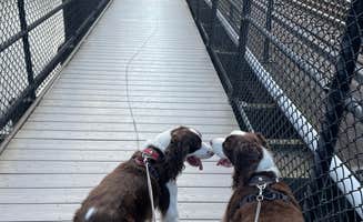 Joel R.'s photo of camping with pets at Harpers Ferry / Civil War Battlefields KOA near Martinsburg, WV