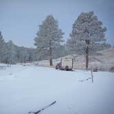 Review photo of Elk Mountain Campground — Wind Cave National Park by Kari T., July 22, 2016