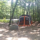 Review photo of Green Lake Rustic South — Interlochen State Park by Sherrie P., July 1, 2018