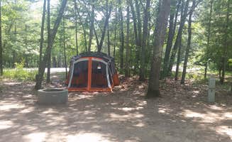 Sherrie P.'s photo at Green Lake Rustic South — Interlochen State Park near Copemish, MI