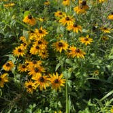 Review photo of Harpers Ferry / Civil War Battlefields KOA by Joel R., September 30, 2021