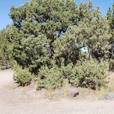 Review photo of Massacre Rocks State Park Campground by Nancy C., September 30, 2021