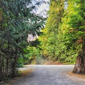 Review photo of Tall Chief Campground by Derek & Alex W., September 30, 2021