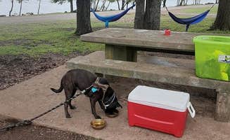 Krystal E.'s photo of camping with pets at Wind Point Park near Mount Vernon, TX