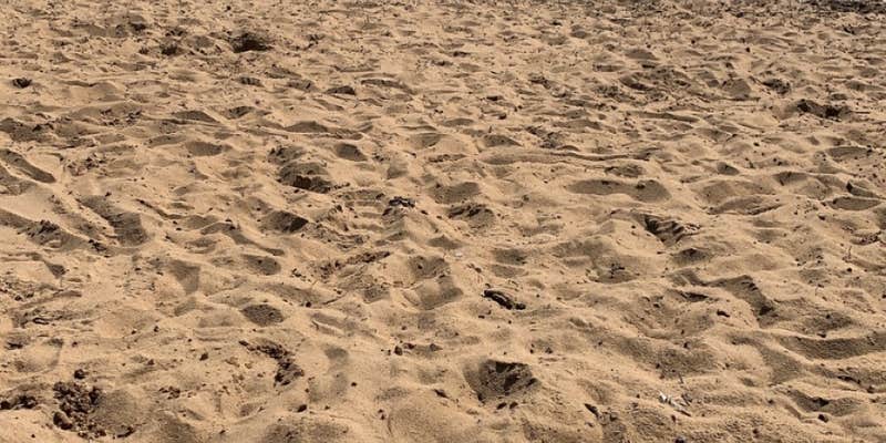 Camper submitted image from Palmetto Shores RV Resort