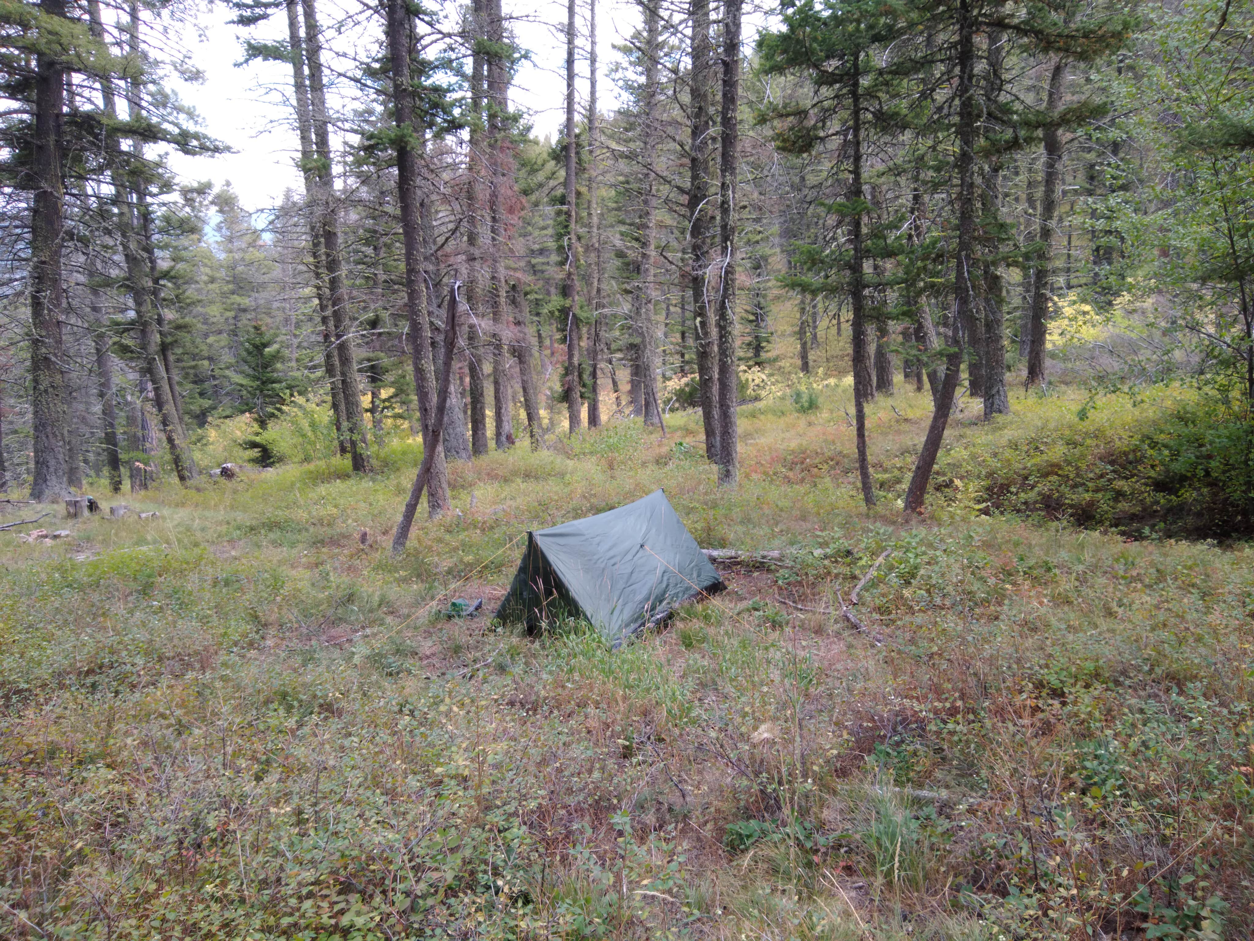 Dexter I.'s photo at Refrigerator Canyon Back Country Camp Site near Lewis and Clark National Forest