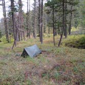 Review photo of Refrigerator Canyon Back Country Camp Site by Dexter I., September 30, 2021