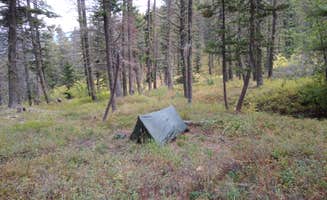 Dexter I.'s photo at Refrigerator Canyon Back Country Camp Site near Helena National Forest