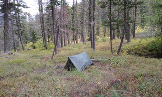 Camping near Grey Sandy Campground : Refrigerator Canyon Back Country Camp Site, Helena National Forest, Montana