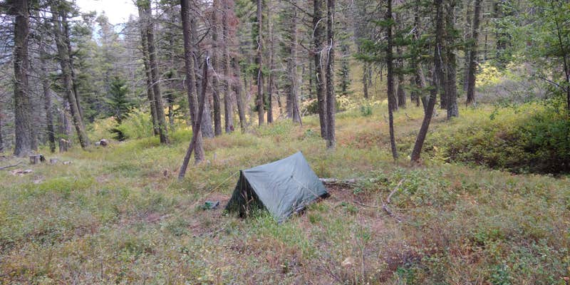 Camper submitted image from Refrigerator Canyon Back Country Camp Site