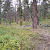 Review photo of Refrigerator Canyon Back Country Camp Site by Dexter I., September 30, 2021