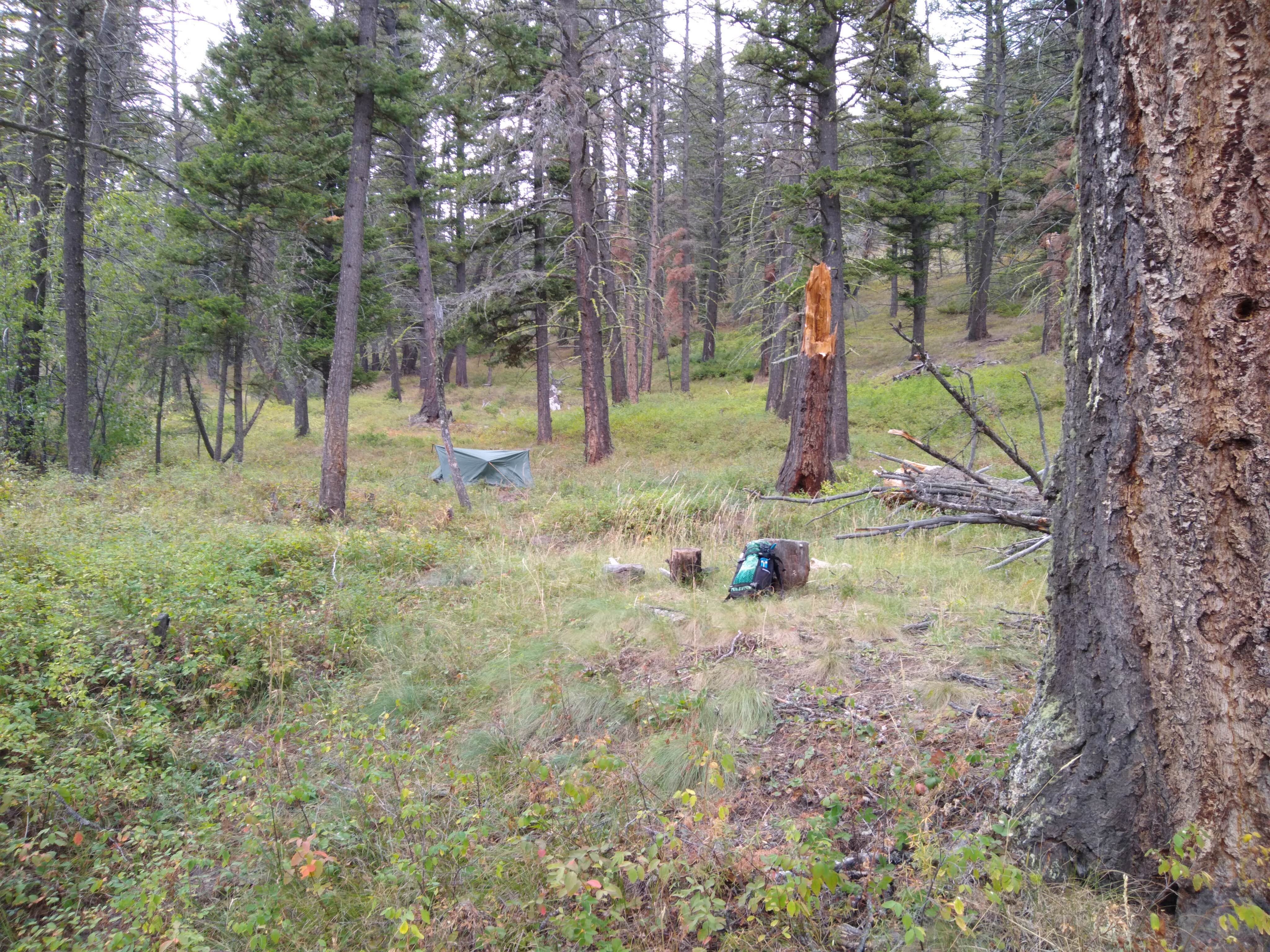 Camper-submitted photo at Refrigerator Canyon Back Country Camp Site near Canyon Ferry Lake