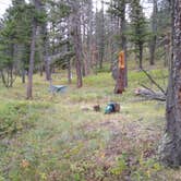 Review photo of Refrigerator Canyon Back Country Camp Site by Dexter I., September 30, 2021