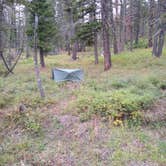 Review photo of Refrigerator Canyon Back Country Camp Site by Dexter I., September 30, 2021