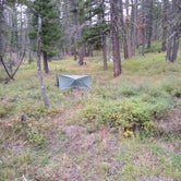 Review photo of Refrigerator Canyon Back Country Camp Site by Dexter I., September 30, 2021