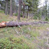 Review photo of Refrigerator Canyon Back Country Camp Site by Dexter I., September 30, 2021