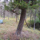 Review photo of Refrigerator Canyon Back Country Camp Site by Dexter I., September 30, 2021