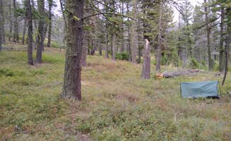 Dexter I.'s photo of a dispersed camping area at Refrigerator Canyon Back Country Camp Site near Canyon Ferry Lake