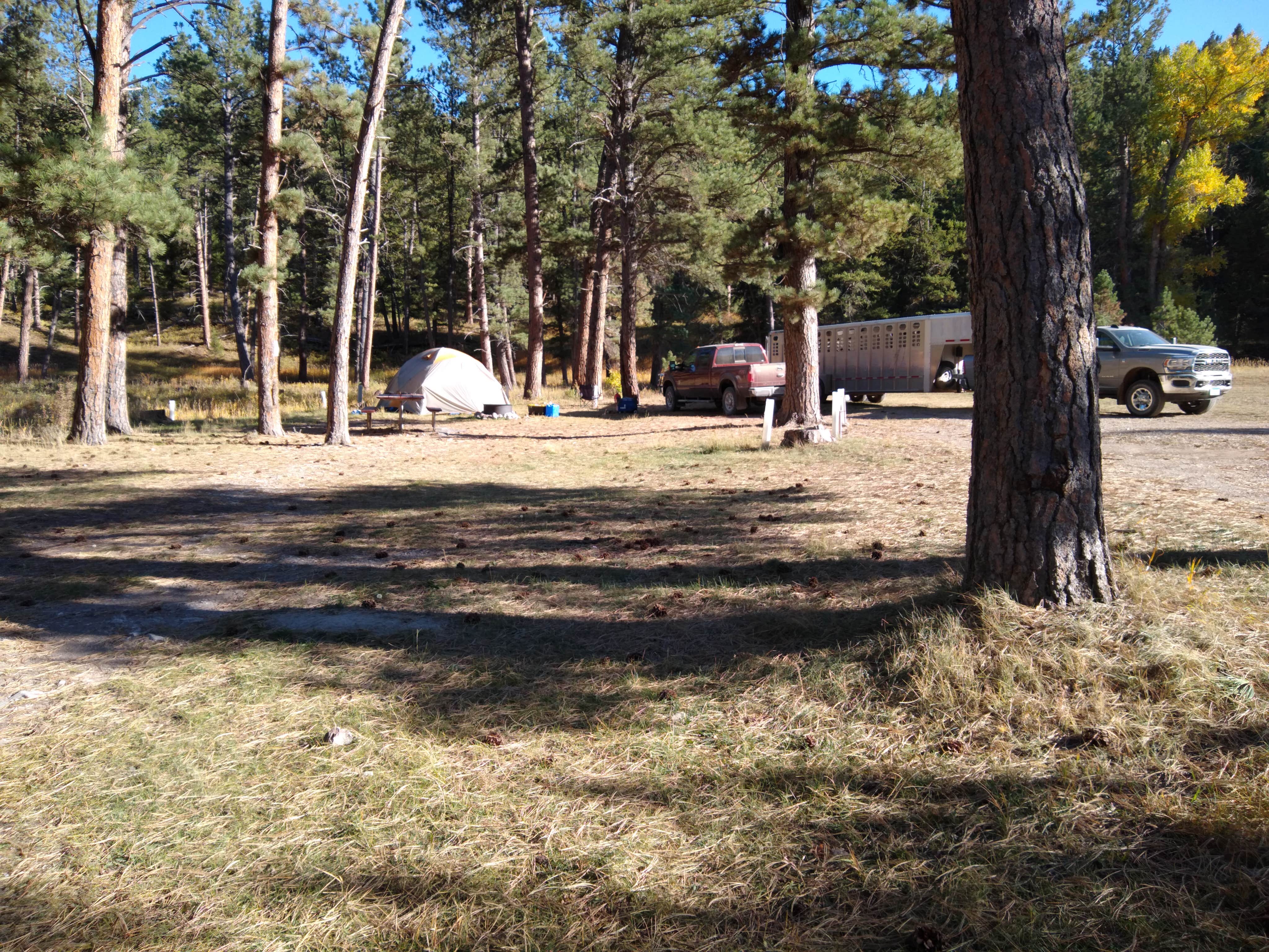 Dexter I.'s photo at Fred M Ellis Memorial Campground near Stanford, MT