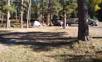 Dexter I.'s photo of tent camping at Fred M Ellis Memorial Campground in Montana