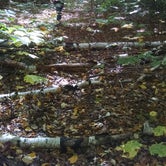 Review photo of October Mountain State Forest by Alan , September 30, 2021