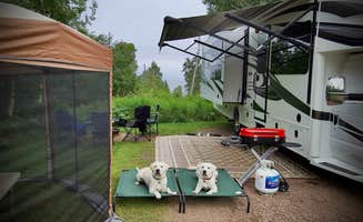 Jason S.'s photo of camping with pets at Lamb's Resort near Lutsen, MN