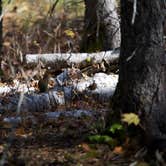 Review photo of Cascade River State Park Campground by Jason S., September 30, 2021