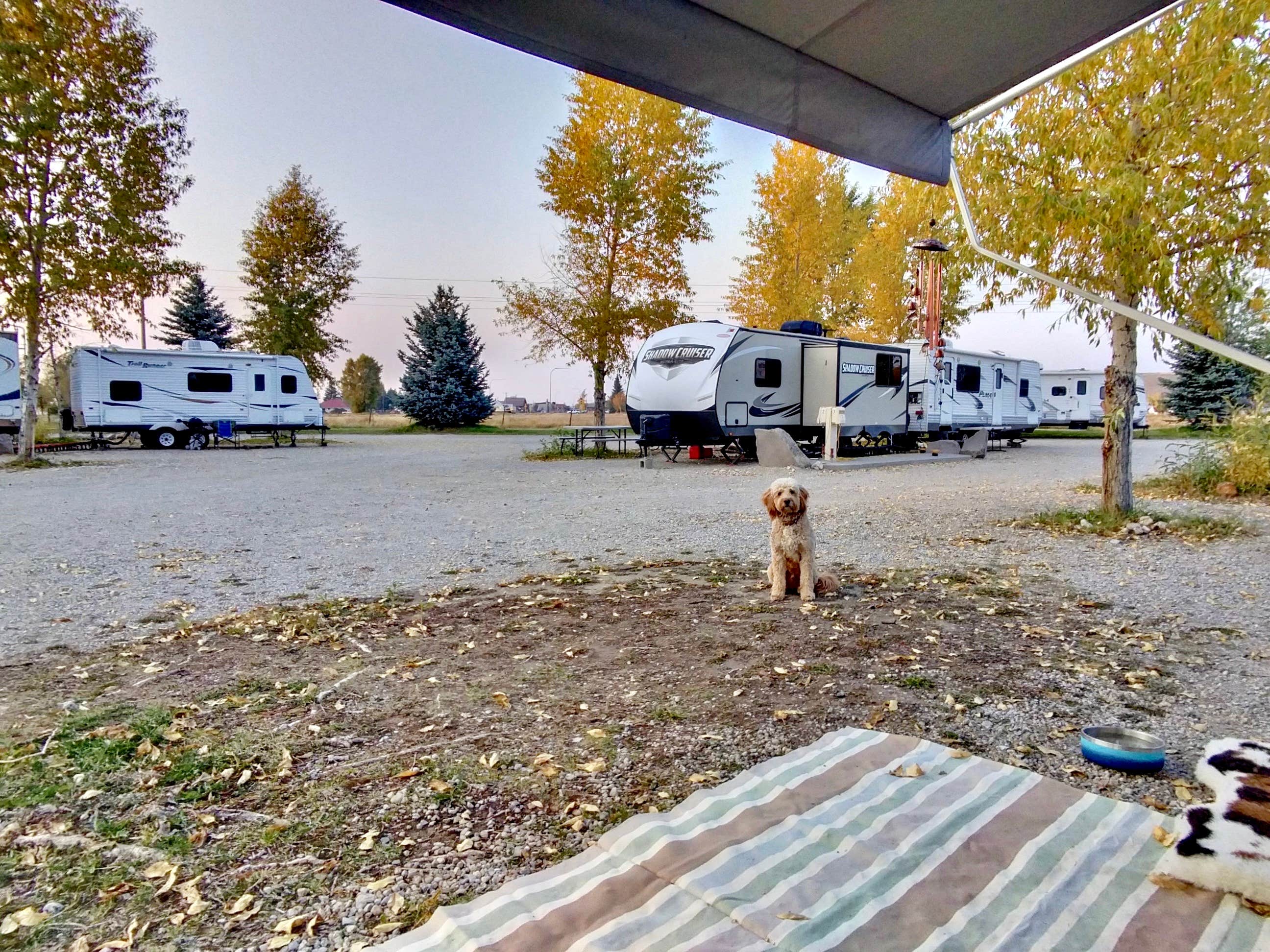 Amy G.'s photo of rv camping at Teton Peaks Lodge & RV Park near Jackson, WY
