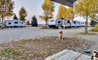 Amy G.'s photo of camping with pets at Teton Peaks Lodge & RV Park near Victor, ID