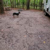 Review photo of Bewabic State Park Campground by Devora  D., September 30, 2021