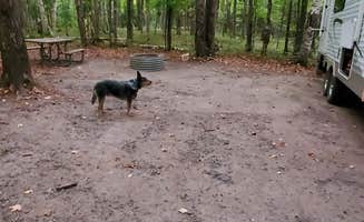 Devora D.'s photo of camping with pets at Bewabic State Park Campground near Iron Mountain, MI