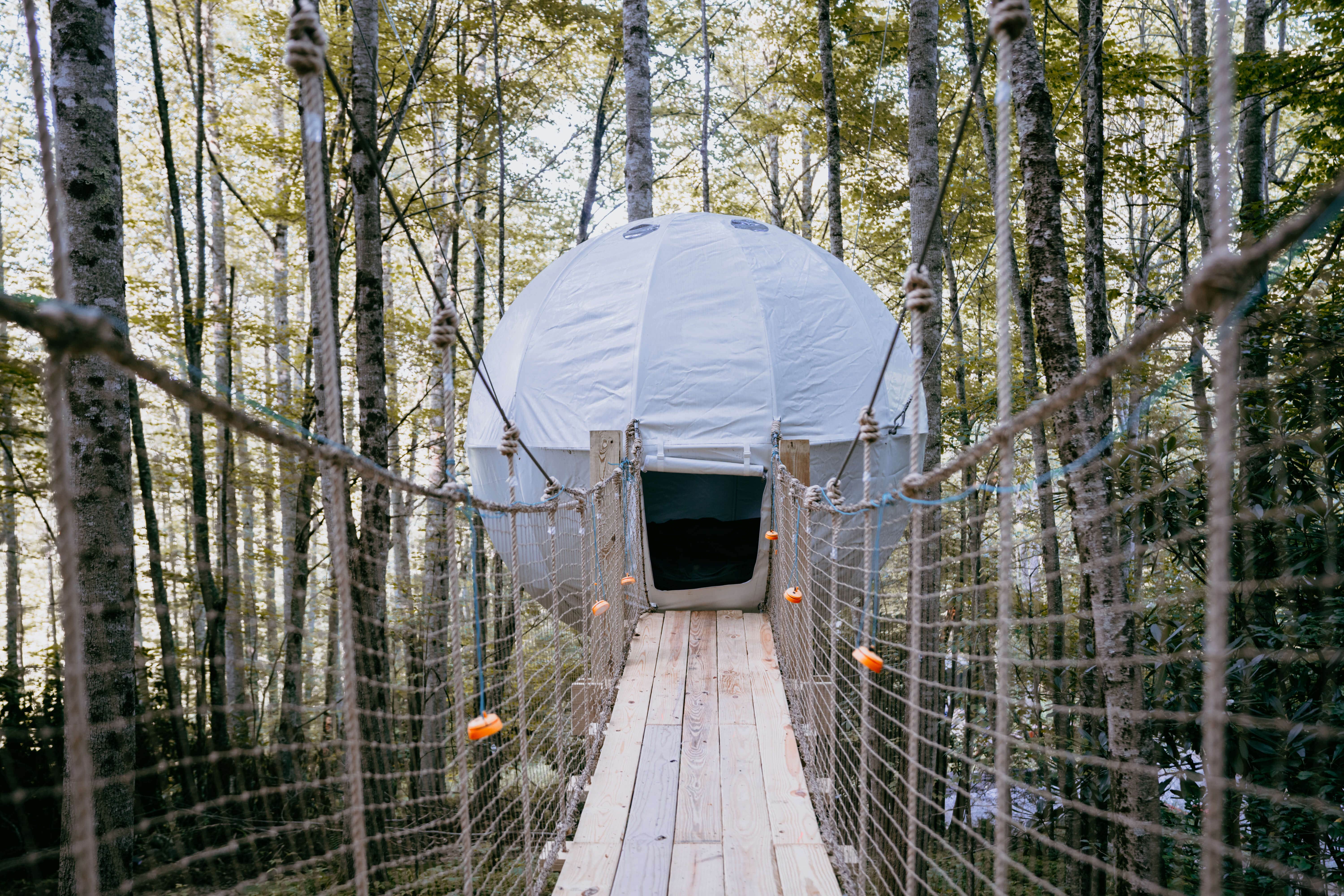 Camper submitted image from Boone Cocoon - 4