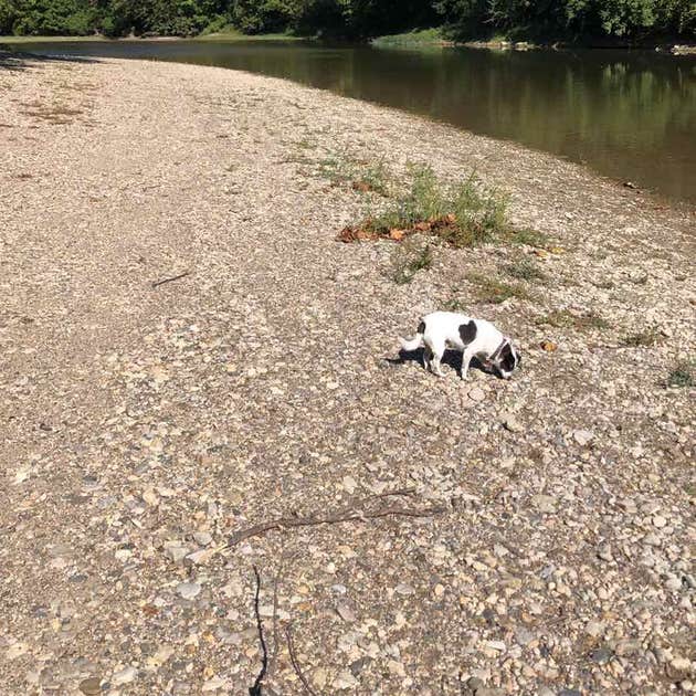 Sugar Creek Campground and Canoe Rental LLC Crawfordsville, IN