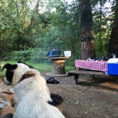 Review photo of Sugar Creek Campground and Canoe Rental LLC by Gedy M., September 30, 2021