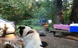 Gedy M.'s photo of camping with pets at Sugar Creek Campground and Canoe Rental LLC near Alamo, IN