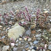 Review photo of Teton Reservoir Campground - CLOSED by Heidi , September 30, 2021