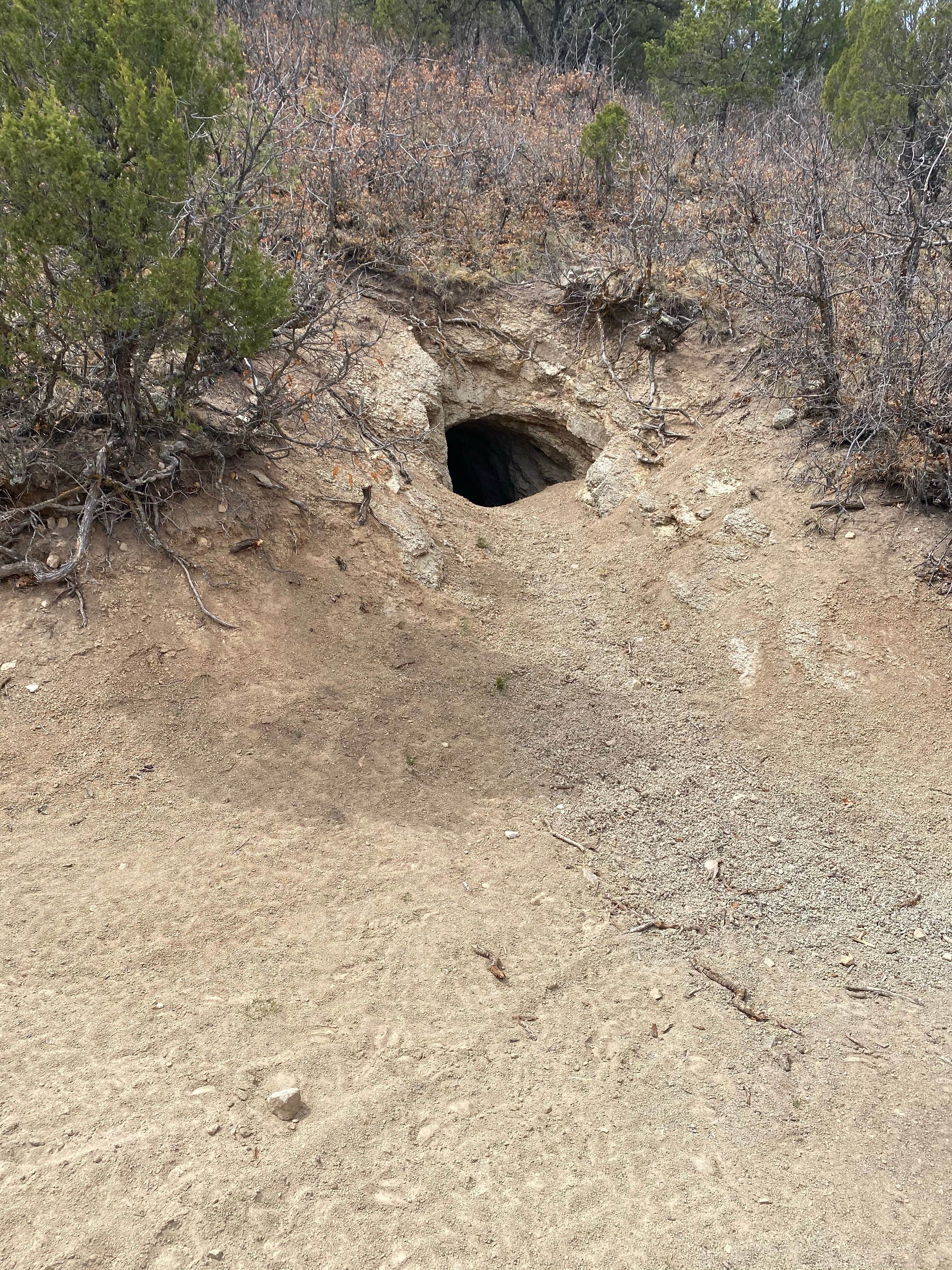 Camper-submitted photo at Forest Road 634 - Dispersed Site near Bent, NM