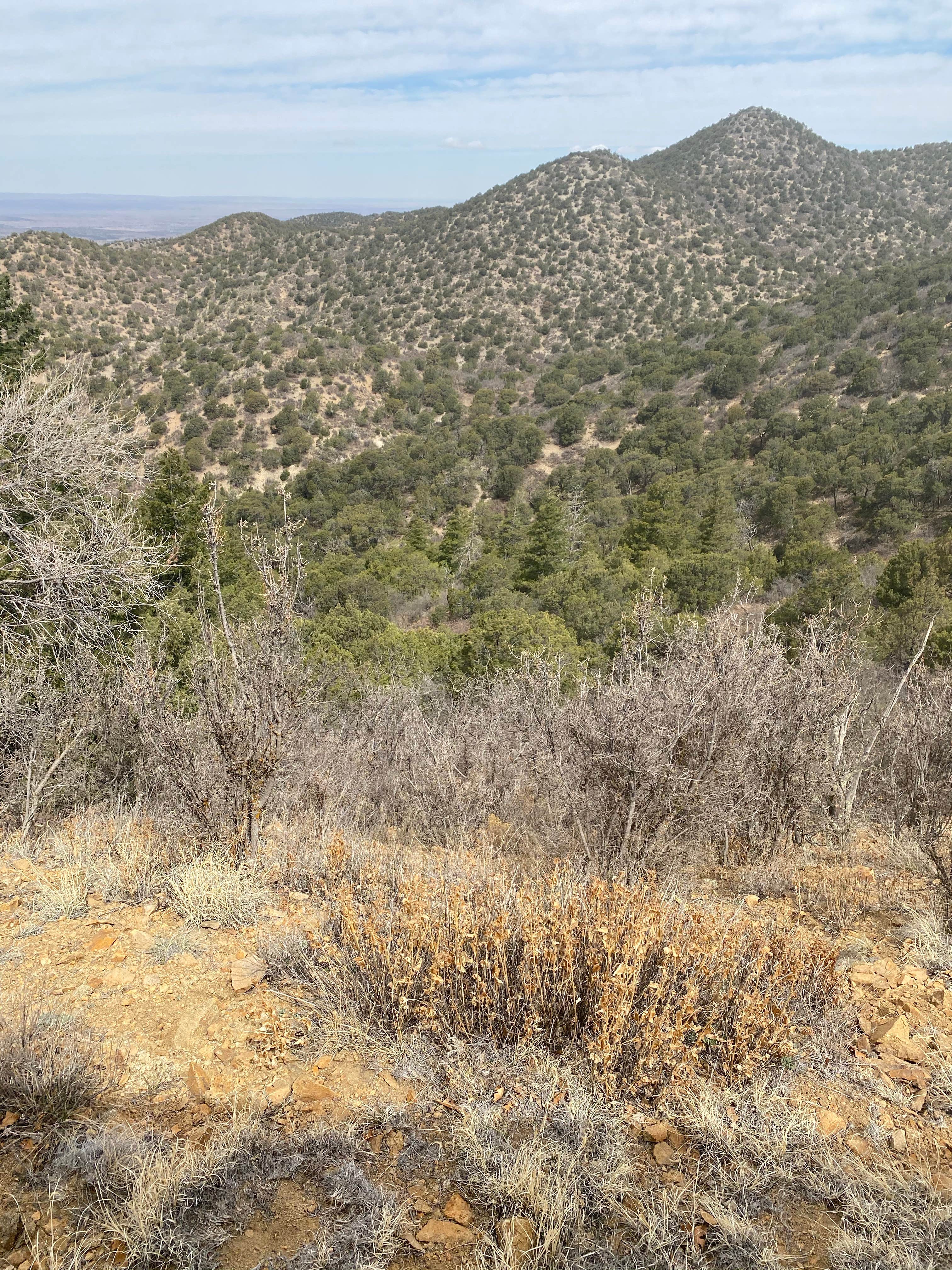 Camper-submitted photo at Forest Road 634 - Dispersed Site near Bent, NM