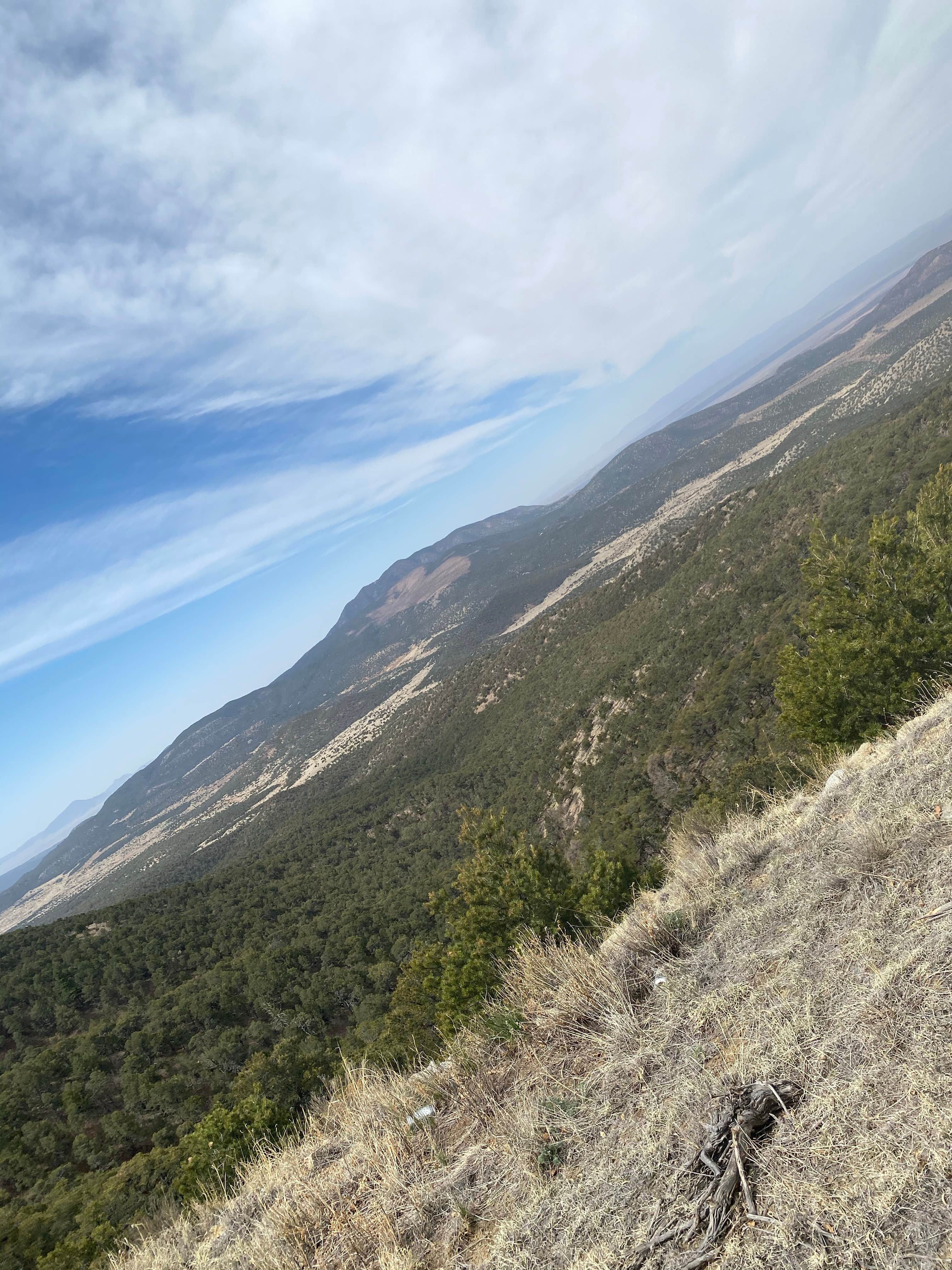 Camper-submitted photo at Forest Road 634 - Dispersed Site near Bent, NM