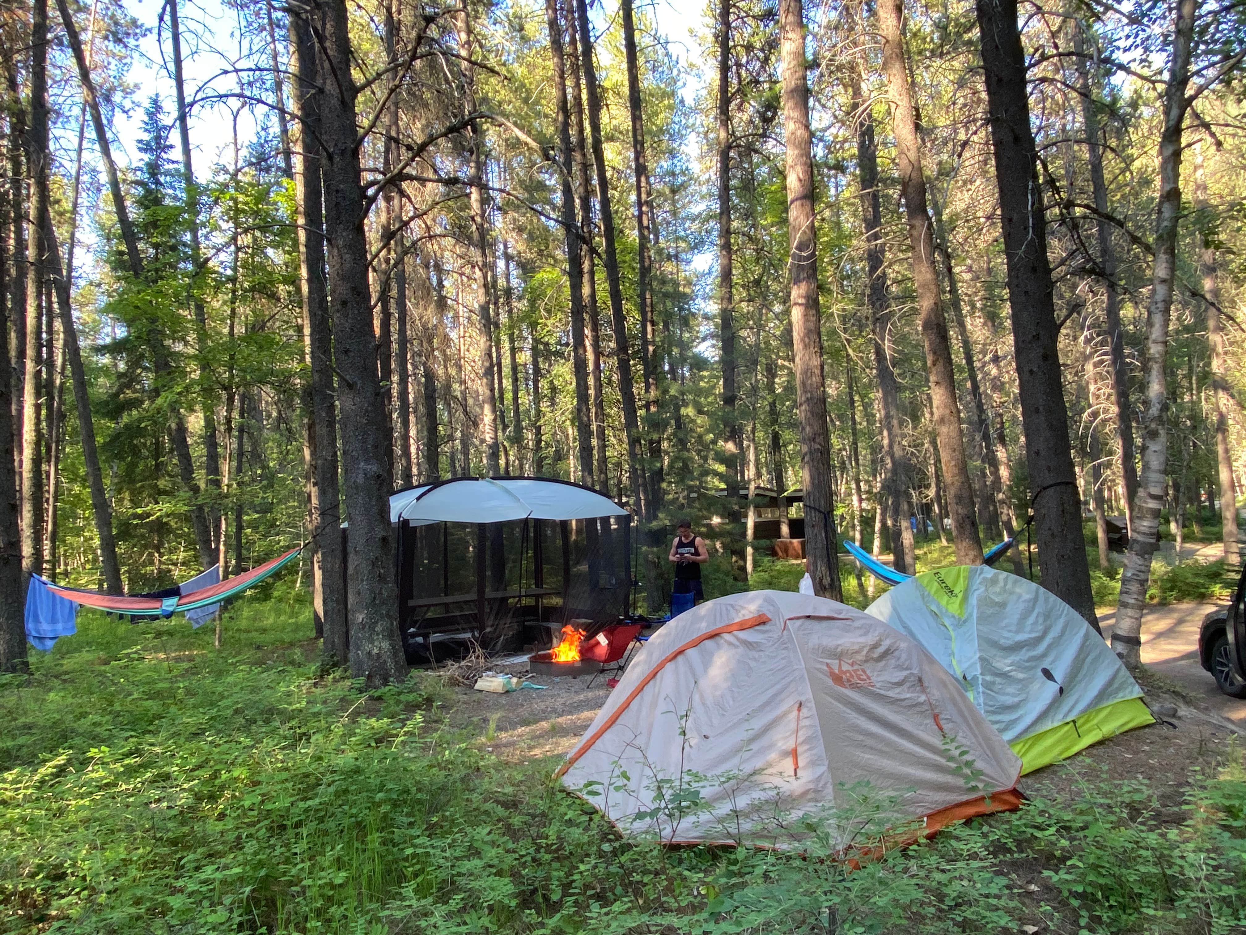 Aakansha J.'s photo of tent camping at Big Run State Park Campground near Brownfield, PA