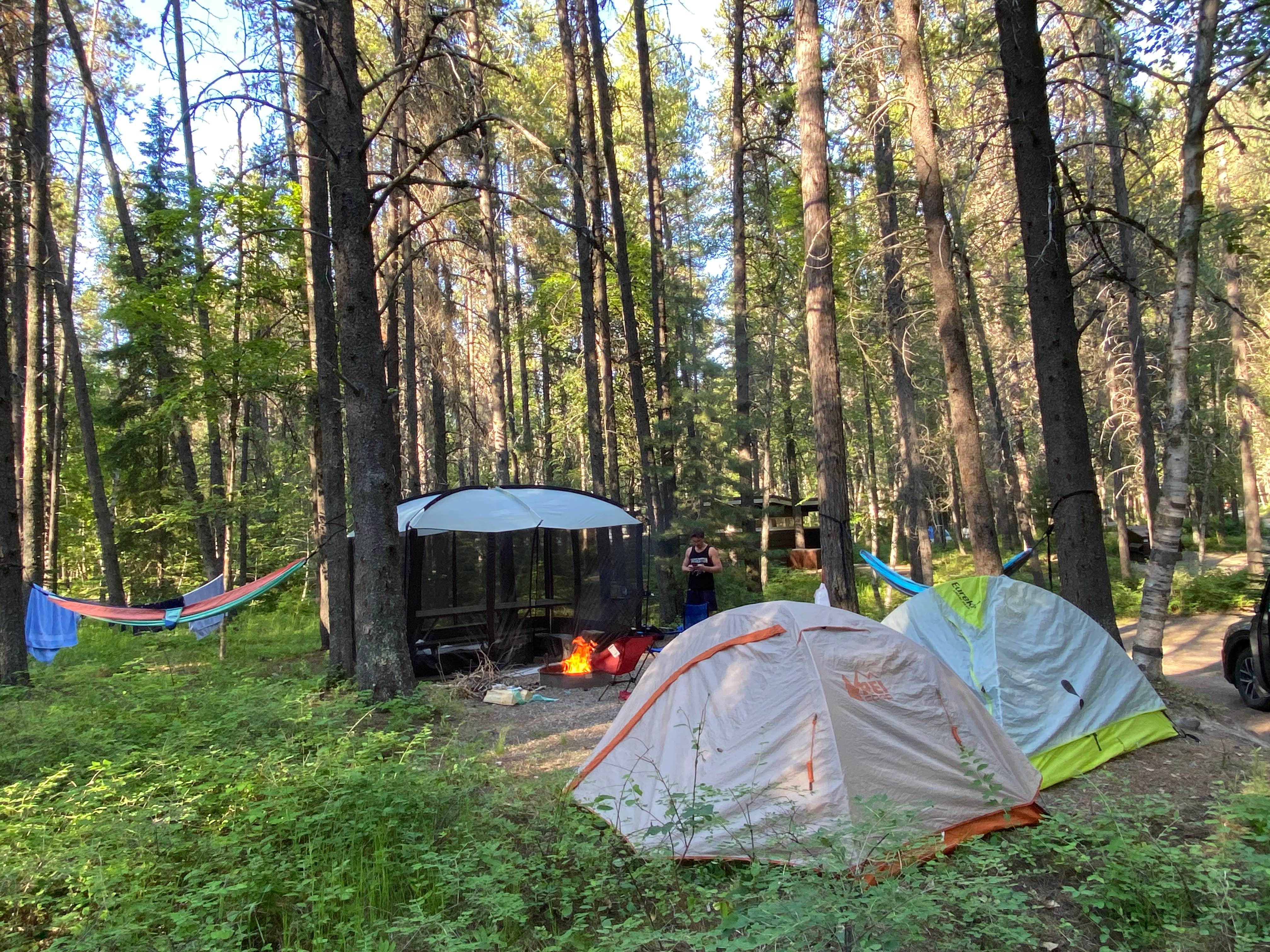 Camper submitted image from Big Run State Park Campground - 5