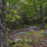 Review photo of Swains Lock Hiker-biker Overnight Campsite — Chesapeake and Ohio Canal National Historical Park by Aakansha J., September 30, 2021