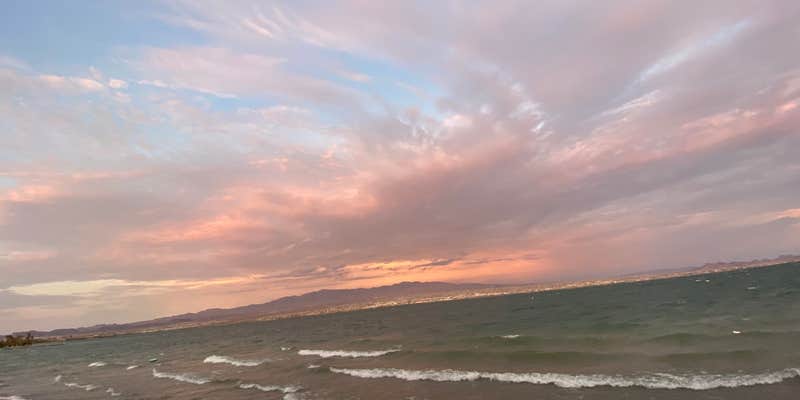 Camper submitted image from Havasu Landing Resort & Casino Campground