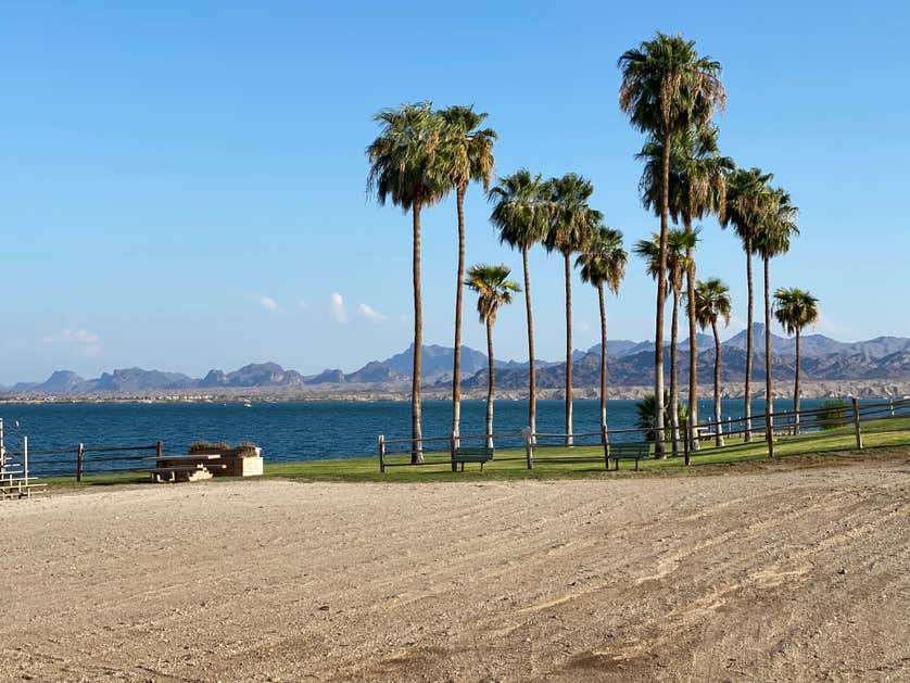 Havasu Landing Resort & Casino Campground Camping The Dyrt