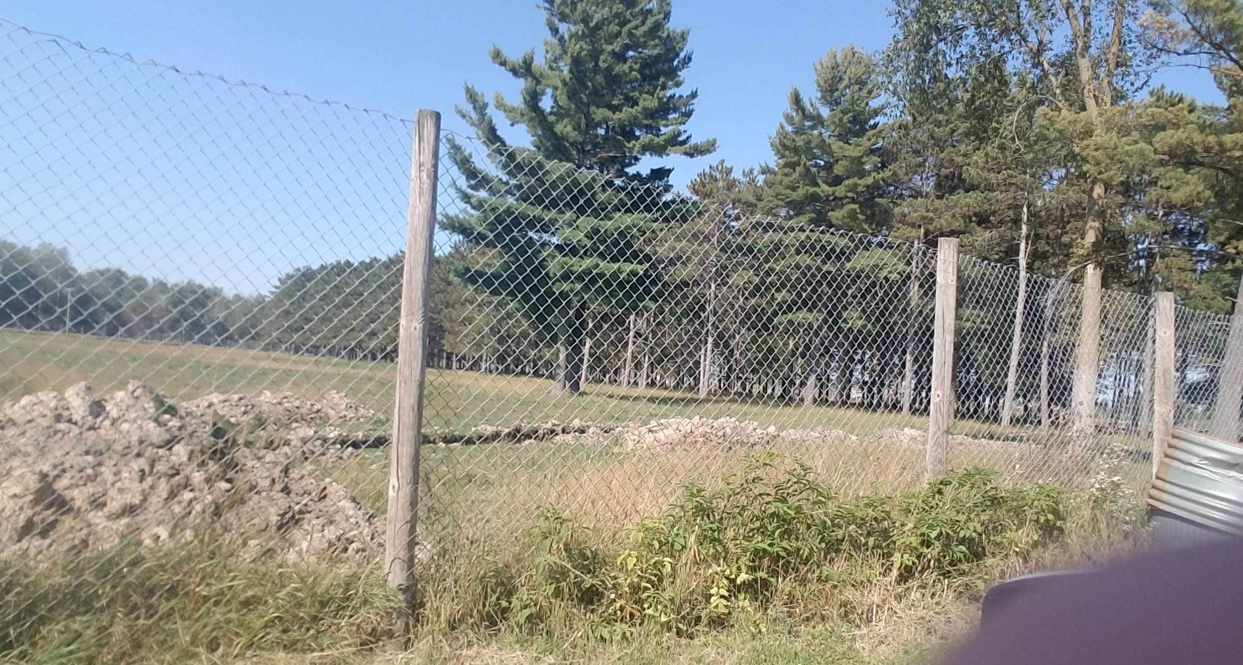 Camper-submitted photo at Chapman Park Campground near Fall Creek, WI