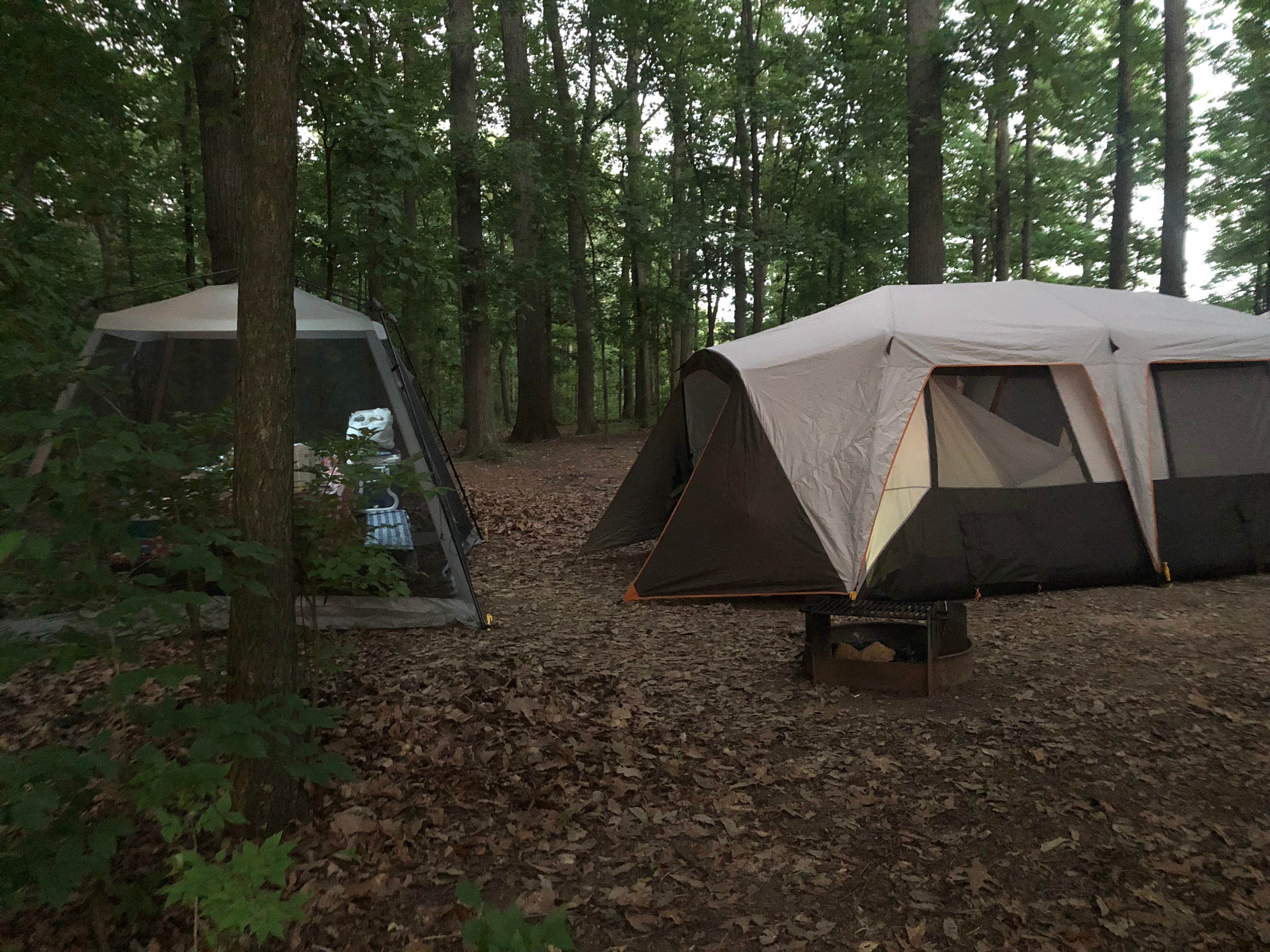 Camper submitted image from Codorus State Park Campground - 4