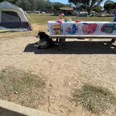 Review photo of Oceano County Campground — Pismo State Beach by Vicki S., September 27, 2021