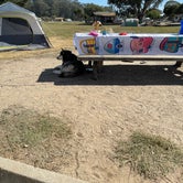 Review photo of North Beach Campground — Pismo State Beach by Vicki S., September 27, 2021