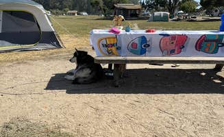 Vicki S.'s photo at Oceano Campground — Pismo State Beach near Pismo Beach, CA